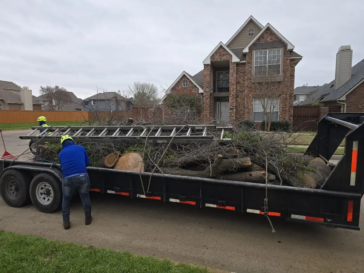 Expert Tree Fertilization with proper safety equipment in Paso Robles